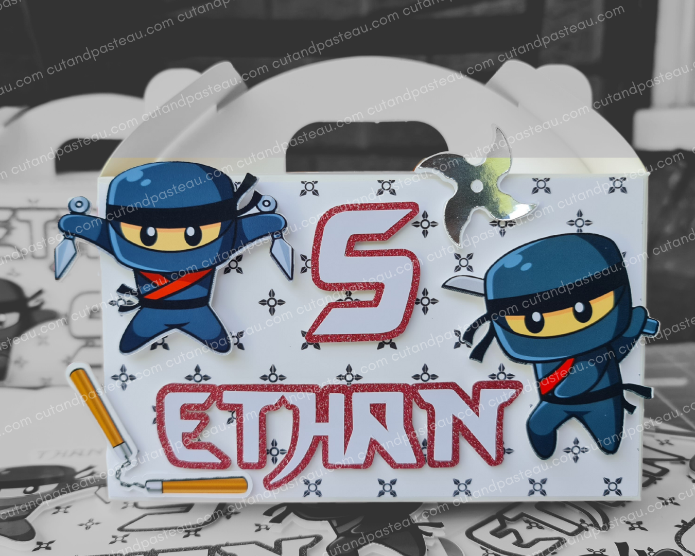 Ninja 3D Party Box