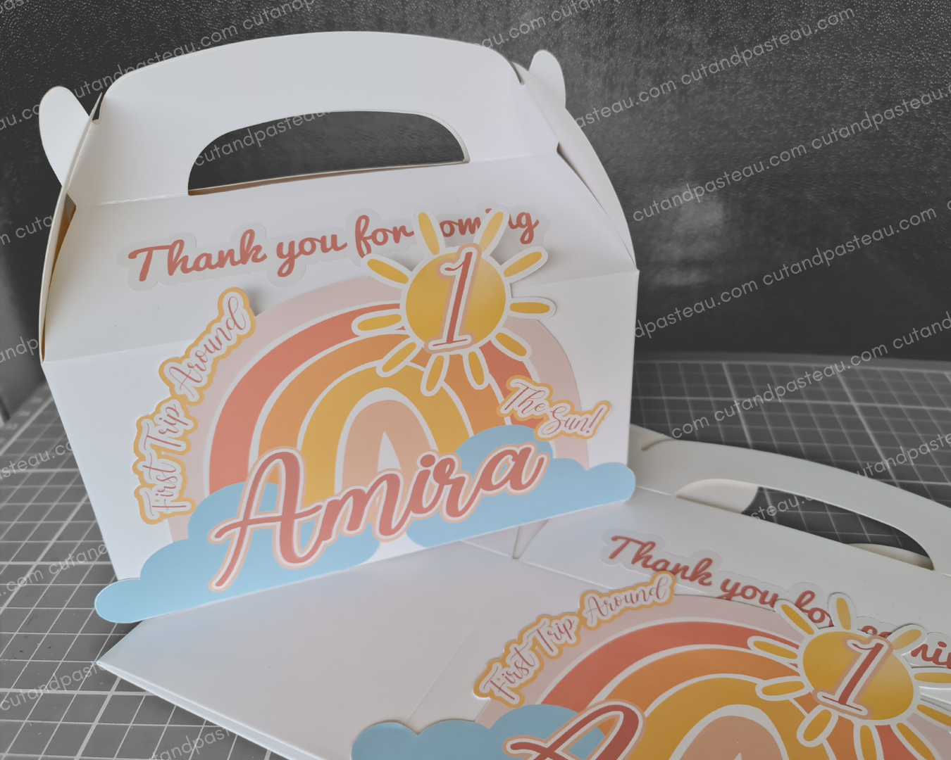 1st Trip Around the Sun Party Box