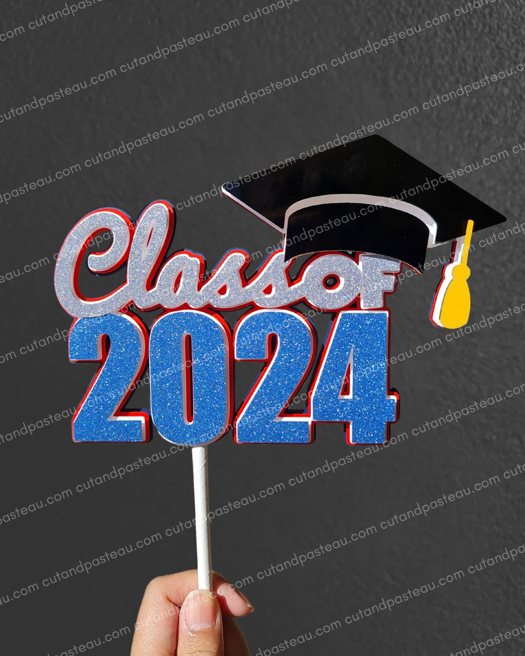 Graduation Cake Topper Bundle