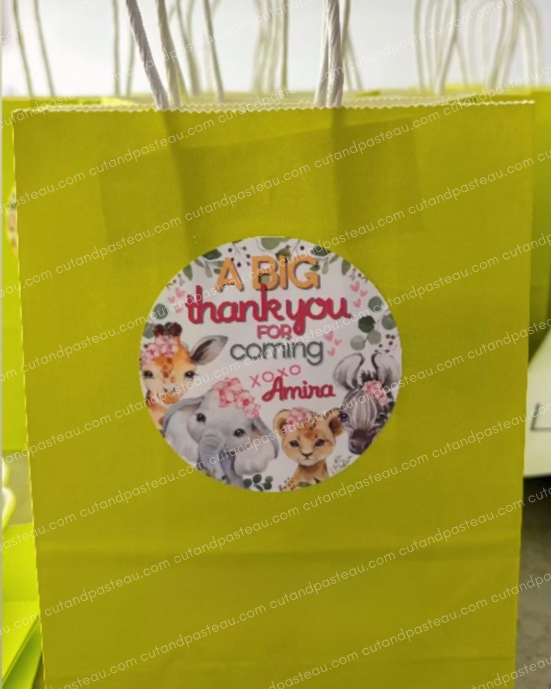 Safari Animals Party Bag Labels / Tags