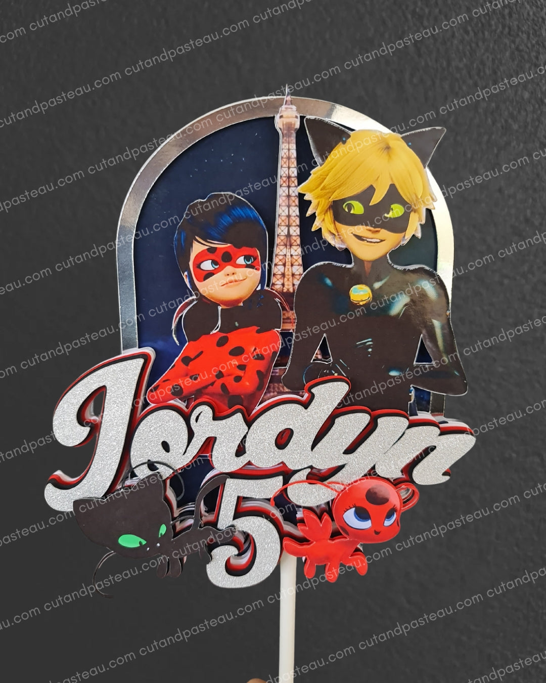 Miraculous Ladybug & Cat Noir Cake Topper