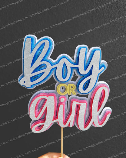 Gender Reveal Cake Topper